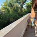 Timisoara Apartament 2 camere Bd. Timisoara  Renovat complet | Bloc Special